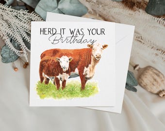 Funny Cow Birthday Card: Hereford Calf Watercolour Art