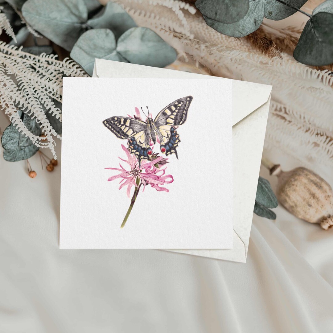 Swallowtail Butterfly Greetings Card: Floral Art, Blank Inside, Any ...
