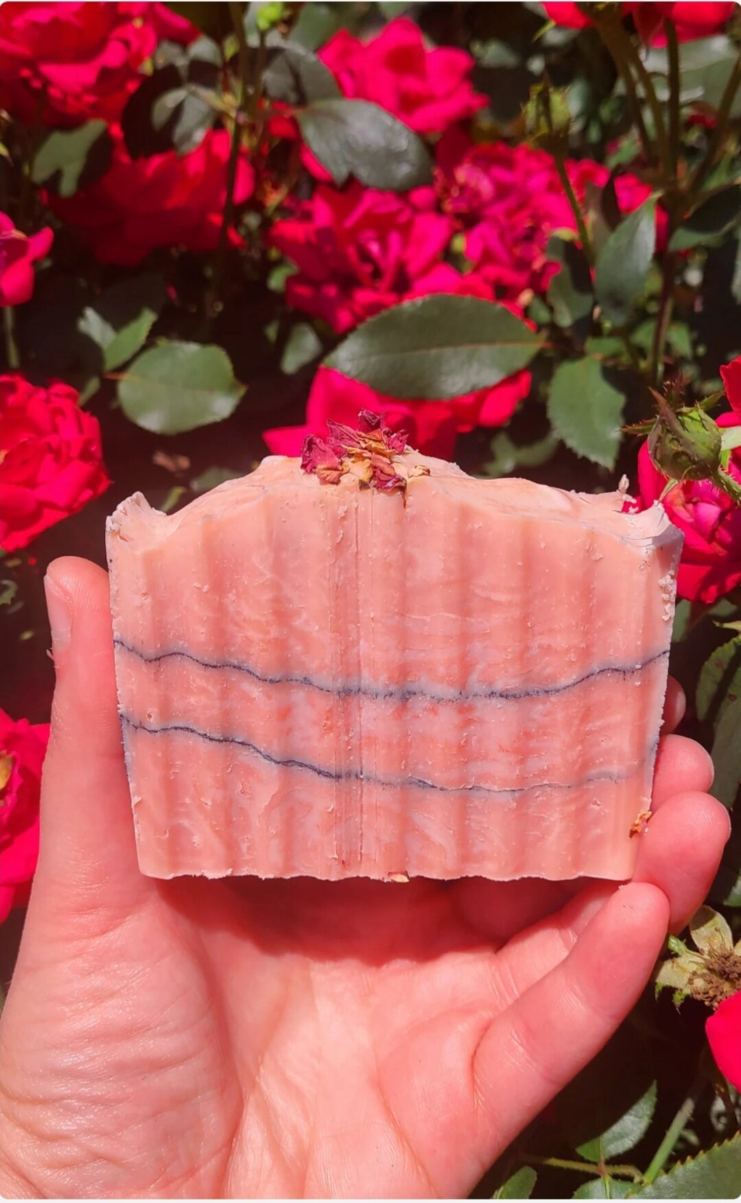 Rose Clay & Charcoal Herbal Cold Process Soap With Pink Kaolin Clay - Etsy
