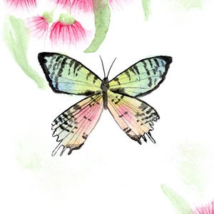 Grüne Pause - Madagaskar Motte Aquarell Kunstdruck (5x7)