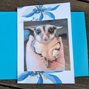 Cartão de felicitações fofo de Sugar Glider com flores azuis