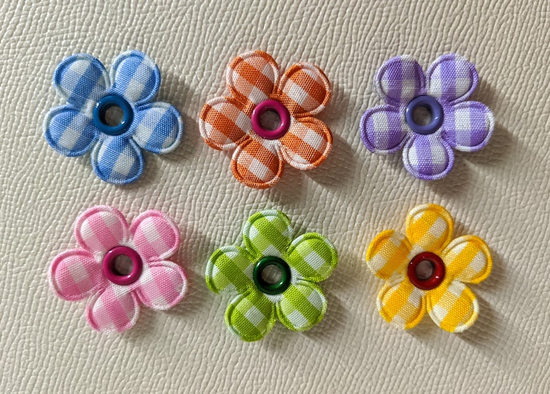 Rullskridsko-berlocklapp Snören tillbehör - rutig Blomma Daisy Rainbow: Förstärkta öljetter bild 1