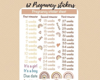 Pregnancy sticker sheet, A4 pregnancy stickers, pregnancy tracker stickers, rainbow pregnancy, rainbow baby stickers, pregnancy plamner