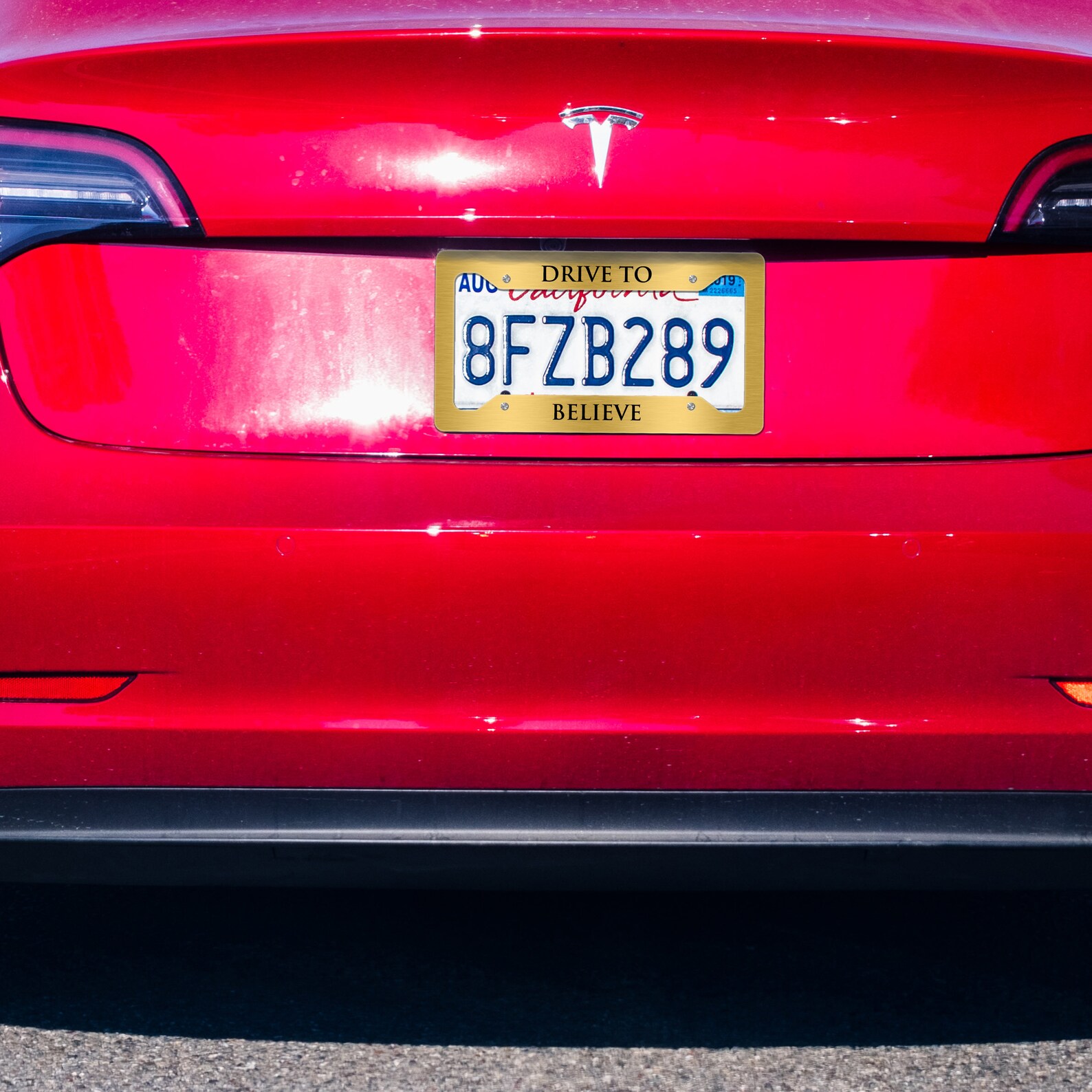 Custom License Plate Frame Personalized License Plate Frames Etsy