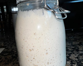 Sourdough starter