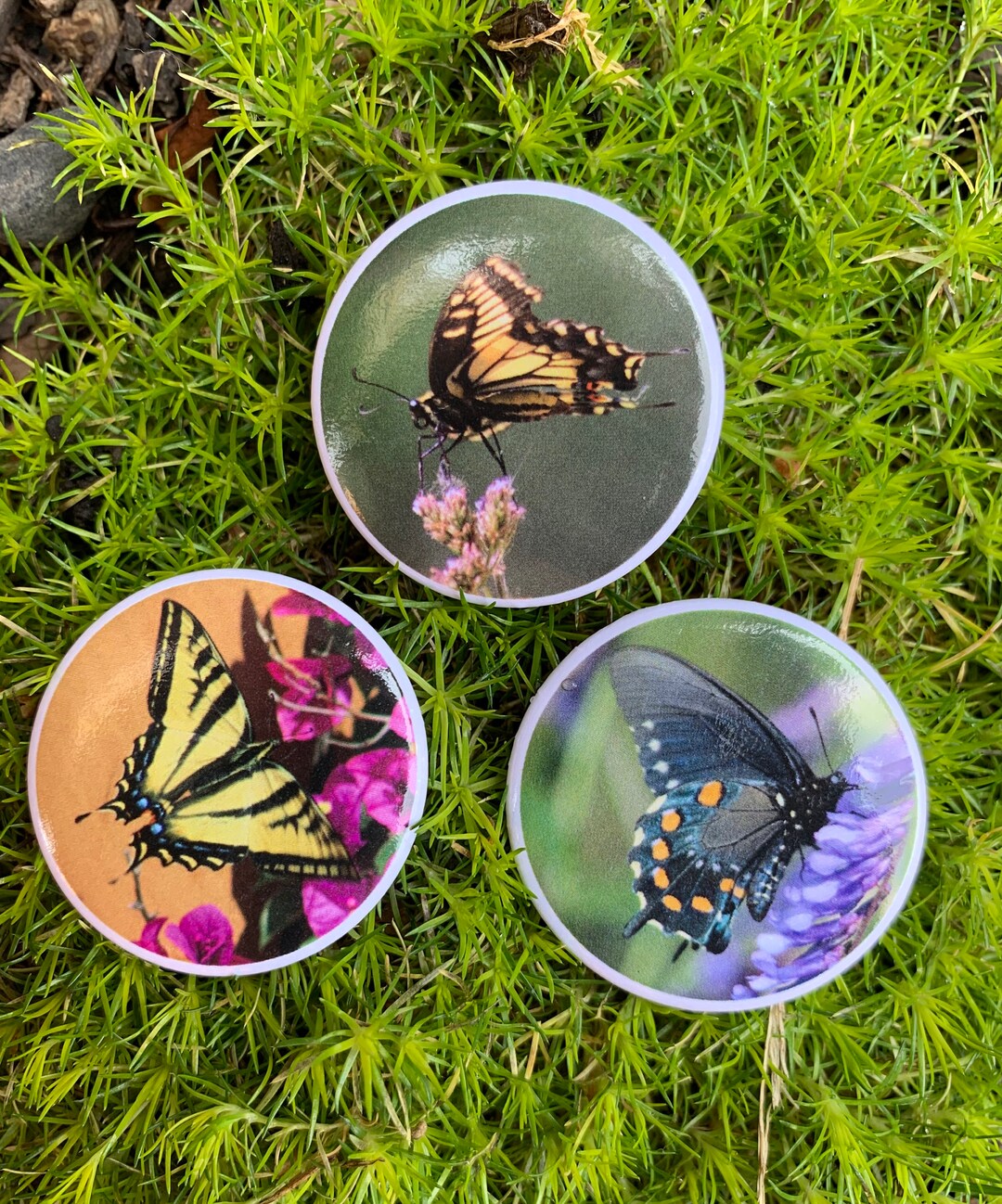 Swallowtail Butterfly 15 Pinback Knoppen set van 3 Etsy Nederland