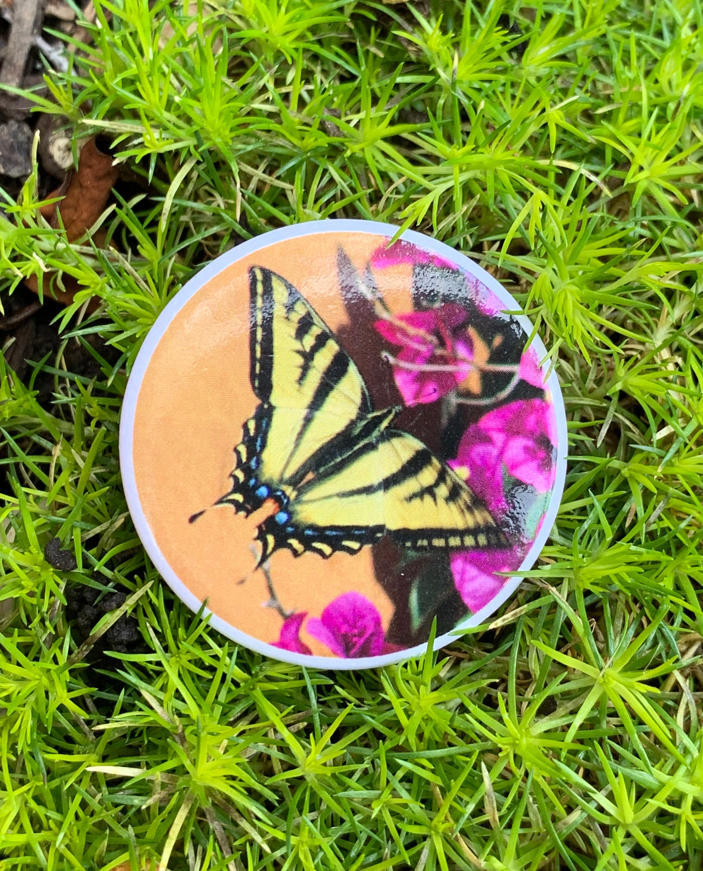 Swallowtail Butterfly 15 Pinback Knoppen set van 3 Etsy Nederland
