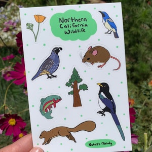 Northern California Wildlife Sticker Sheet