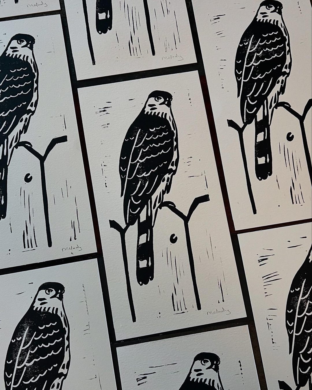 Hawk Rip Print Cooper’s Hawk Block Print - Etsy