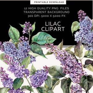 Lilac Clipart | Floral Clipart | Wedding Clipart | Watercolor Flowers Clipart | Paper Crafts | Watercolor Flowers Png | spring clipart