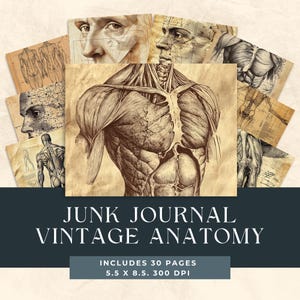 Vintage Anatomy Drawings, Printable Anatomical Engravings, Medical Junk Journal JPG Pages, Instant Download, Anatomy Sketchbook Drawings