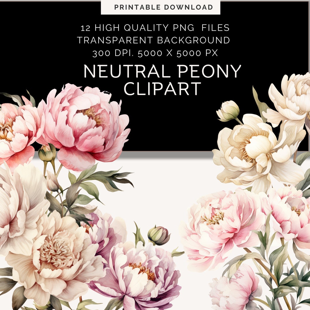 Neutral Peonies Watercolor Clipart | Elegant Floral PNG (digital ...