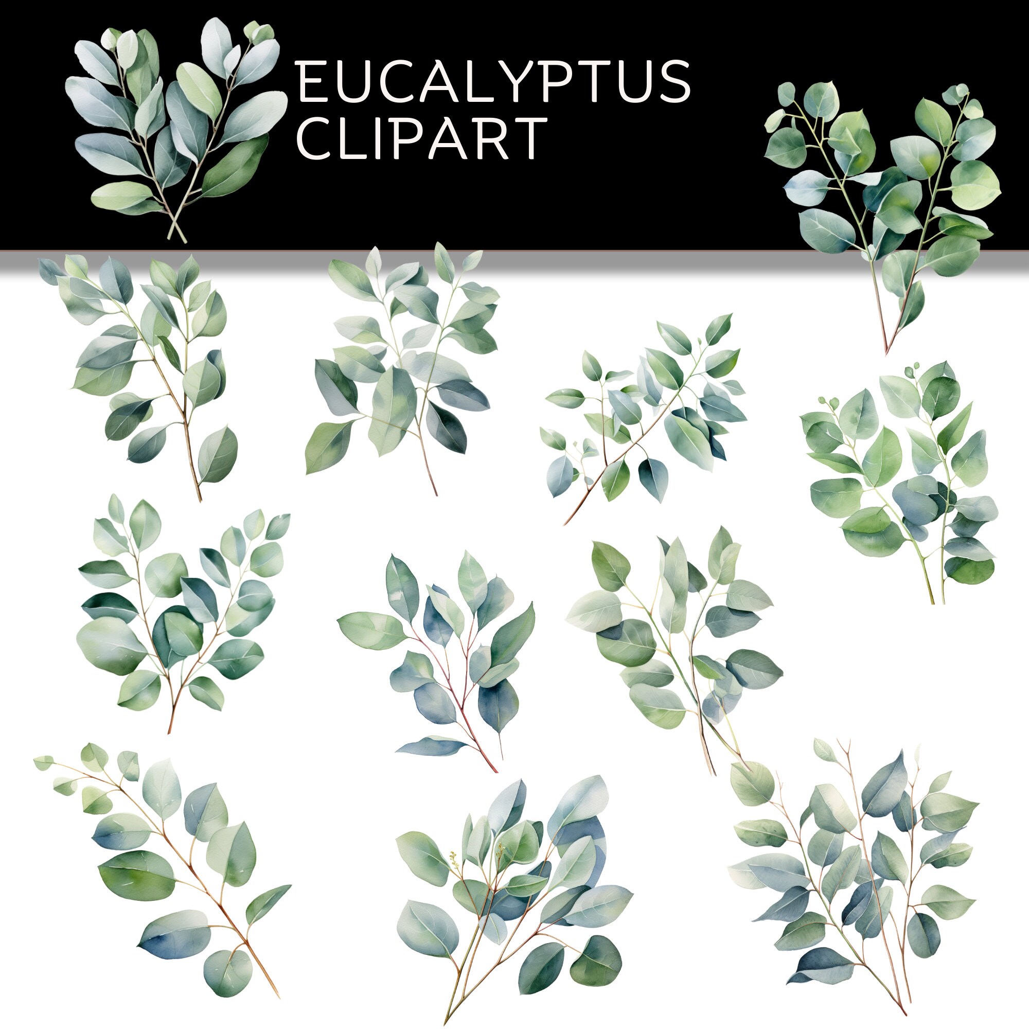Watercolor Eucalyptus Clipart - Instant Download | Greenery Png | Blush ...