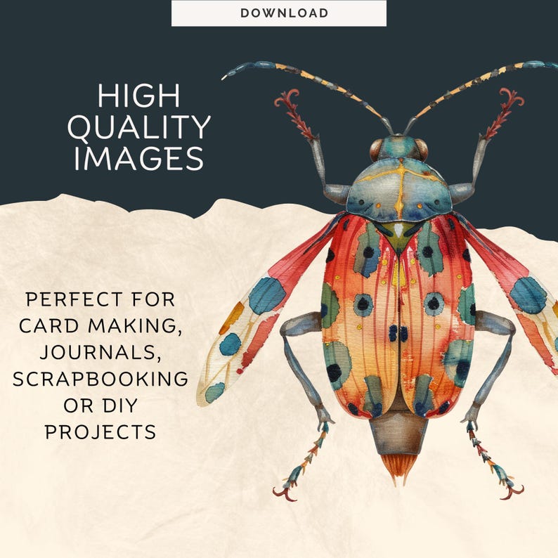 Bugs Png | Insect Vector | Cute Primitive Insects |high Resolution Png ...