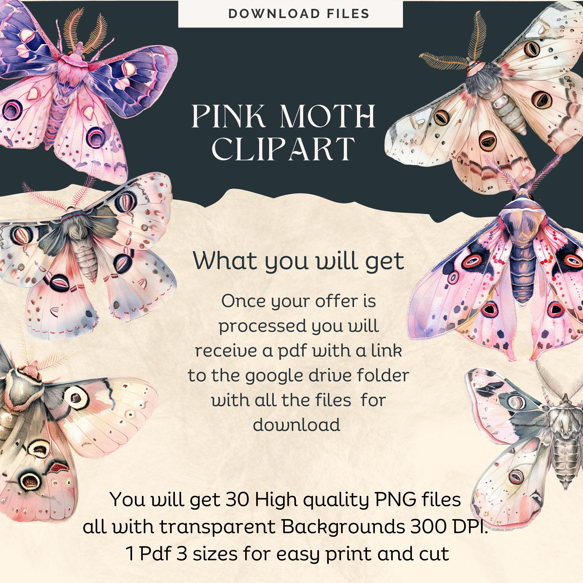 30 Pink Moth Clipart PNG, Transparent Background, Whimsical Vintage ...