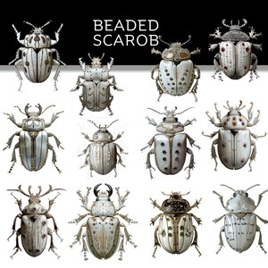 Beaded Scarab Clipart | High-resolution Insect PNG (digital Download ...