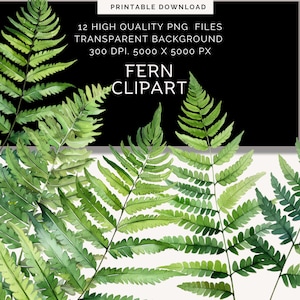 Clipart aquarel varen | Groenillustraties voor huwelijksuitnodiging |  DIY verjaardagskaarten | Kunstcollage clipart | Natuurclipart