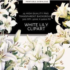 Weiße Lilie Png | Hochzeit Clipart | Png Junk Journal | Digitaler Download | Aquarell Lilie |Hochzeitsblumen | Clipart bündeln | Blumenstrauß