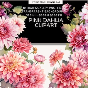 Aquarell rosa Dahlie Clipart | Collage Zubehör | Dahlie Png | Blumen Bundle Png |weiße Dahlie | Hochzeit Blumen | digitaler Download png