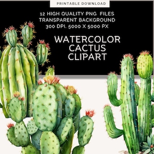 Cactus du désert à l'aquarelle des cliparts | Cactus PNG | graphiques occidentaux | clipart mexicain | clipart Far west | clipart succulentes | jolie succulente