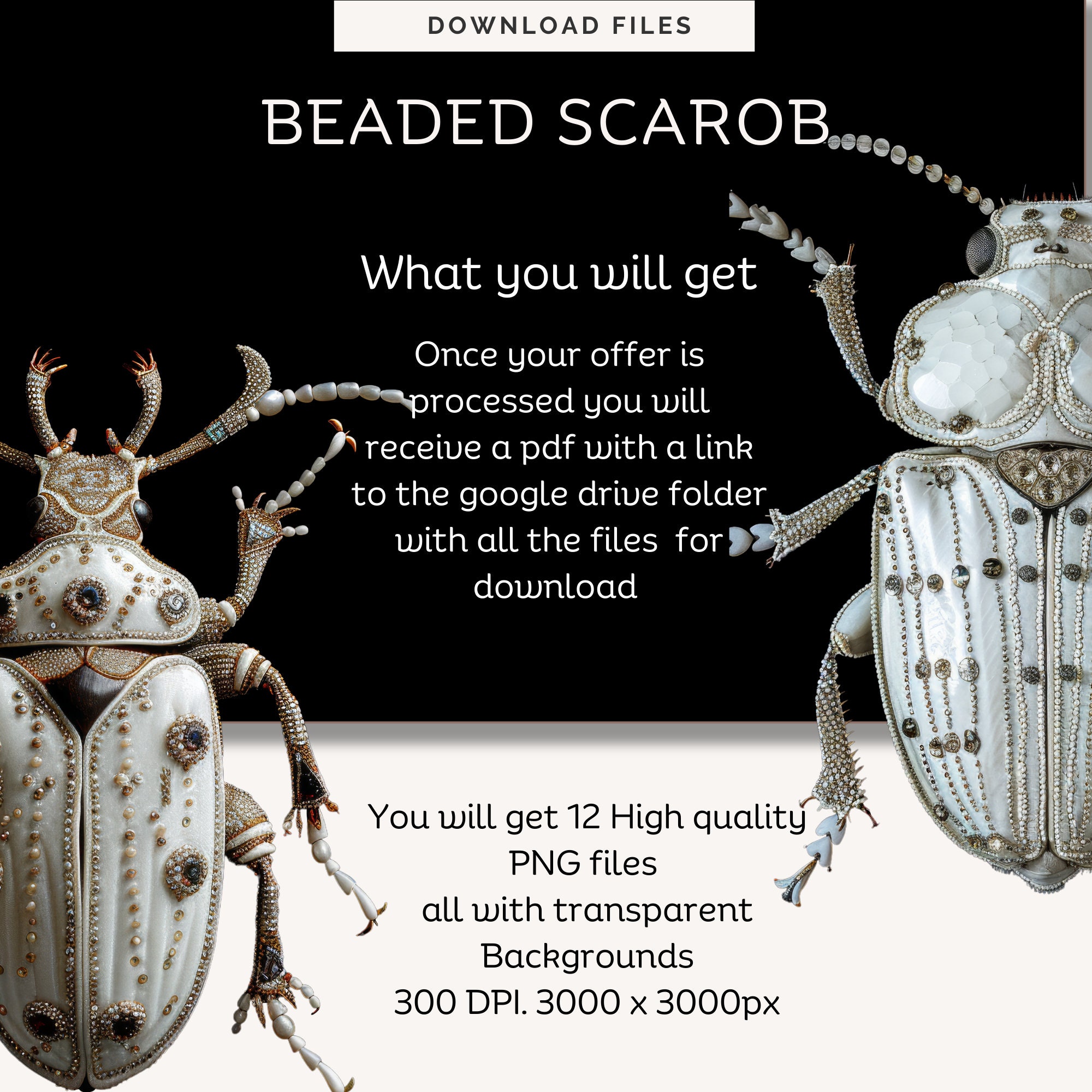 Beaded Scarab Clipart | High-resolution Insect PNG (digital Download ...