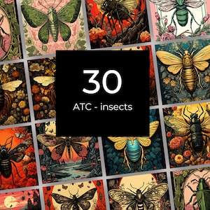 Kunstenaarsruilkaarten | Vintage insecten ongewenste dagboekpagina's | unieke ATC| Collageblad | 30 jpg Ephemera | ATC-kaarten maken | sprookjesachtig