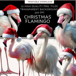 Tropische Weihnachten Clipart | Strand Weihnachten Clipart | Florida Weihnachten | Küsten Weihnachten | Strand-Weihnachtsmann | Flamingo Weihnachten Clipart