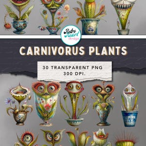 Carnivorous Plant Clipart bundle, whimsical clipart set, retro illustration PNG