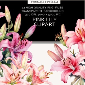 May include: A watercolour illustration of pink lily flowers and buds. The image includes text that reads "PRINTABLE DOWNLOAD", "12 HIGH QUALITY PNG FILES", "TRANSPARENT BACKGROUND", "300 DPI. 5000 X 5000 PX", and "PINK LILY CLIPART".