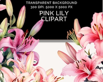 May include: Watercolor illustration of pink lily flowers and buds. The image includes text that reads "PRINTABLE DOWNLOAD", "12 HIGH QUALITY PNG FILES", "TRANSPARENT BACKGROUND", "300 DPI. 5000 X 5000 PX", and "PINK LILY CLIPART".