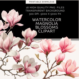 Magnolia Clipart | Floral Clipart | Digital Clipart | Commercial Use | Wedding Clipart | Magnolia Png | Digital Download | Clipart Flowers