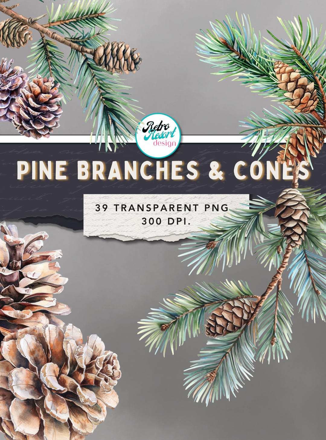 Pine Branches Cones Clipart: 39 Transparent Pngs, 29 Page Pdf With 3 ...