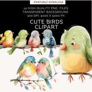 Arte infantil / Dibujos animados de pájaros en acuarela / Descarga digital / Creación de tarjetas / Pájaros divertidos / Pájaros y flores / Clipart de pájaros lindos / Tarjeta imprimible