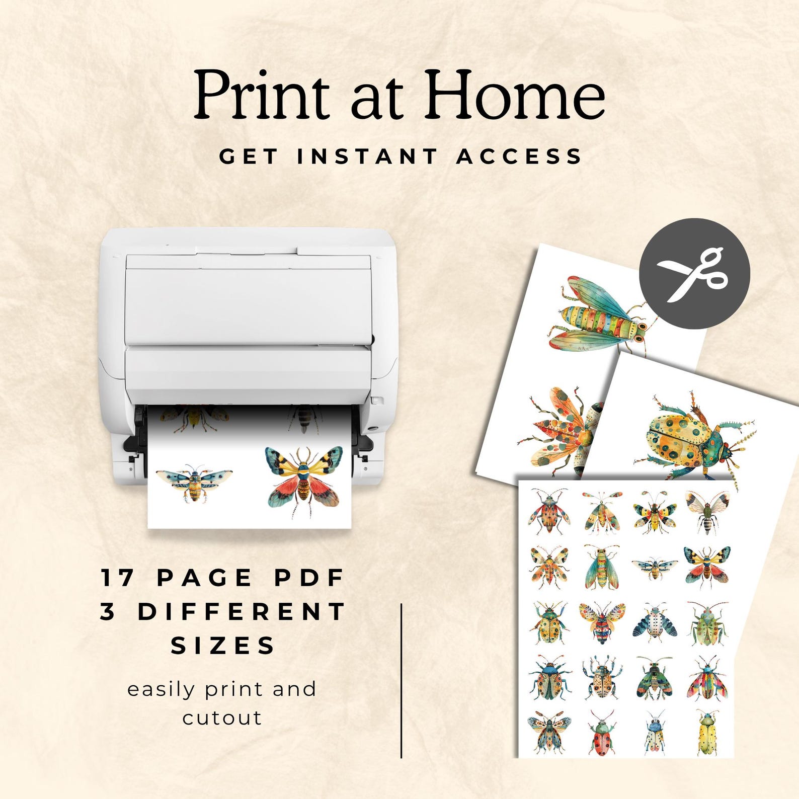 Bugs Png | Insect Vector | Cute Primitive Insects |high Resolution Png ...