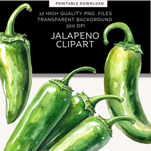 Green Jalapeño Pepper Clipart | Chili Png | hot green pepper watercolor | Hot Pepper download | Chili Pepper Png | cook off clipart