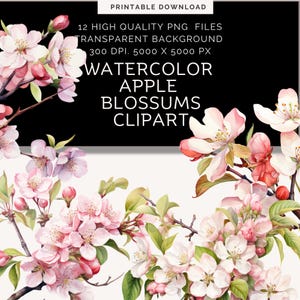 Clipart fleur de sakura | Fichier numérique | Sakura | Clipart Fleur | plante à fleurs | Pommier | Arbre en fleurs | Clipart printemps