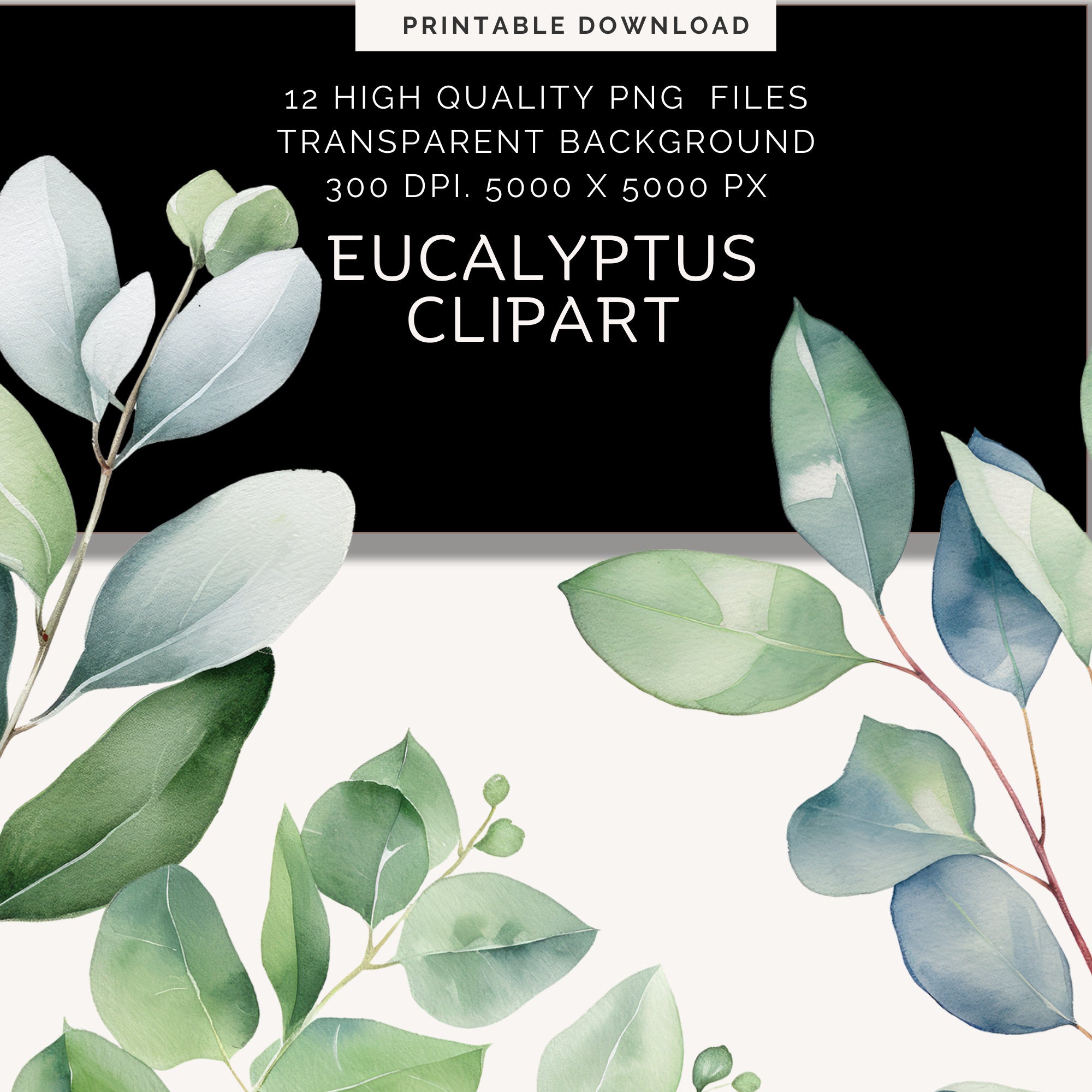 Watercolor Eucalyptus Clipart - Instant Download | Greenery Png | Blush ...
