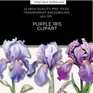 May include: Purple iris flowers with a light purple, dark purple, and white color scheme. The flowers are illustrated in a realistic style with detailed petals and leaves.