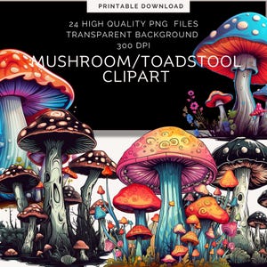 Clipart champignon champignon magique | clipart champignons | champignons rouges colorés | clipart sensationnel | cottagecore png | Collage artistique féerique