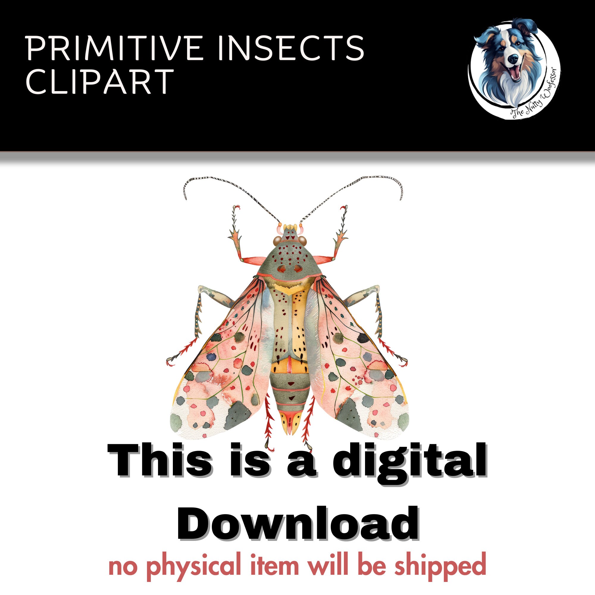 Primitive Bug Bugs Png Insect Vector Cute Primitive Insects high Resolution Png ...