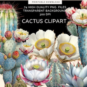 74 CACTUS CLIPART, fichiers clipart aquarelle cactus, collage clipart, cartes de collage, coupes difficiles, Png de fond Transparent, usage Commercial
