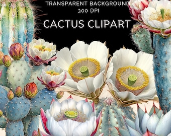 74 CACTUS CLIPART, fichiers clipart aquarelle cactus, collage clipart, cartes de collage, coupes difficiles, Png de fond Transparent, usage Commercial