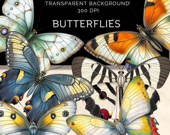 125 Butterfly Clipart Bundle, Butterflies Fantasy, Digital Download, transparent png, Paper Craft Collage,  3 sizes fussy cut,  Junk Journal