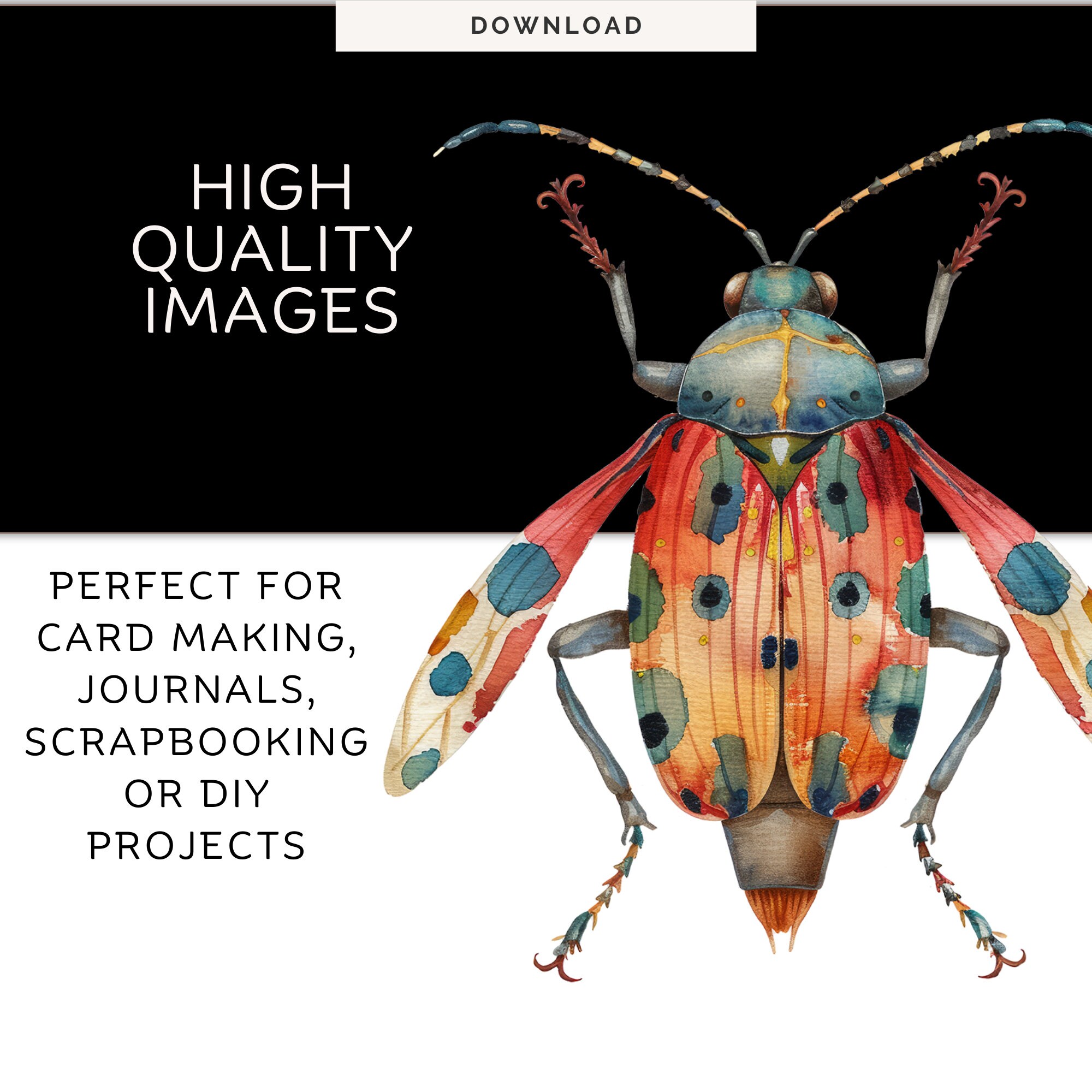 Bugs Png Insect Vector Cute Primitive Insects high Resolution Png ...