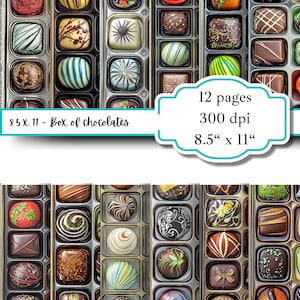 May include: A digital paper pack with 12 pages of printable designs featuring a box of assorted chocolates. The designs are perfect for scrapbooking, card making, and other paper crafts. The paper pack is 8.5 inches by 11 inches and 300 dpi.