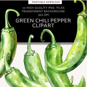 Green Chilli Pepper Clipart | Chili Png | hot green pepper watercolor | Hot Pepper download | Chili Pepper Png | cook off clipart