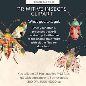 Bugs Png | Insect Vector | Cute Primitive Insects |high Resolution Png ...