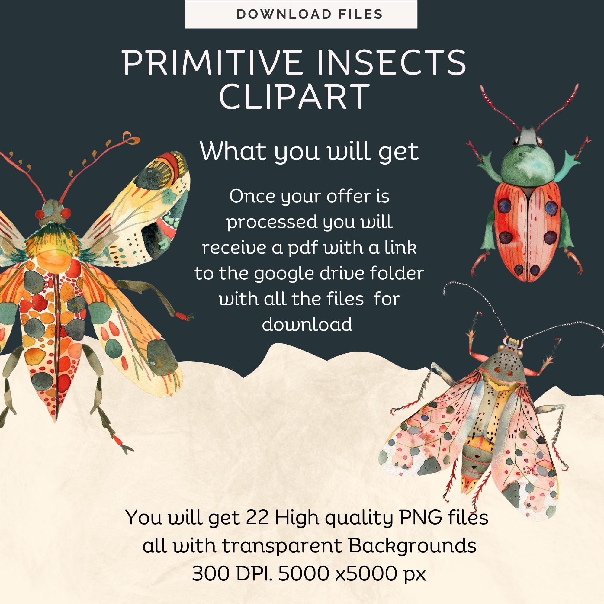 Bugs Png | Insect Vector | Cute Primitive Insects |high Resolution Png ...