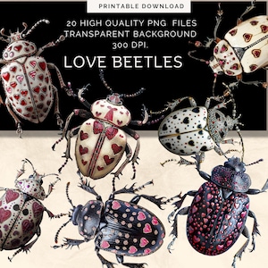 Love kever insect clipartbundel, 20 hoge kwaliteit png, volkskunst kever clipart, kaarten maken, illustraties, digitale papierkunst, scrapbooking