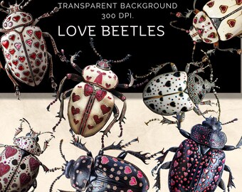 Love Beetle Clipart Bundle, Folk Art Insect PNG (Digital Download)